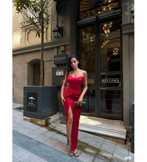 Saten Elbise - Ana Luiza (20250516_120808)